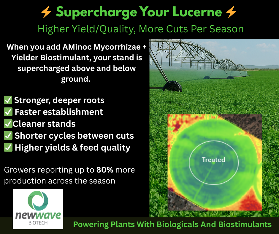 Supercharge Your Lucerne - Higher Yield/Quality, More Cuts Per Season