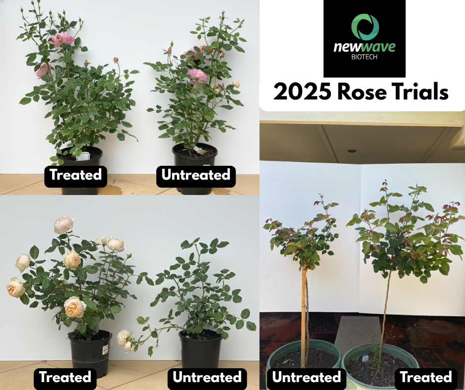 Newwave Bio 2025 Rose Trail Results