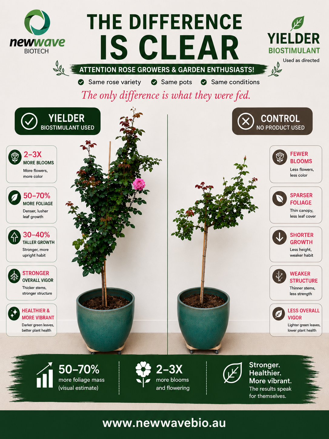 Attention Rose Growers and Garden Enthusiasts - The Difference Is Clear