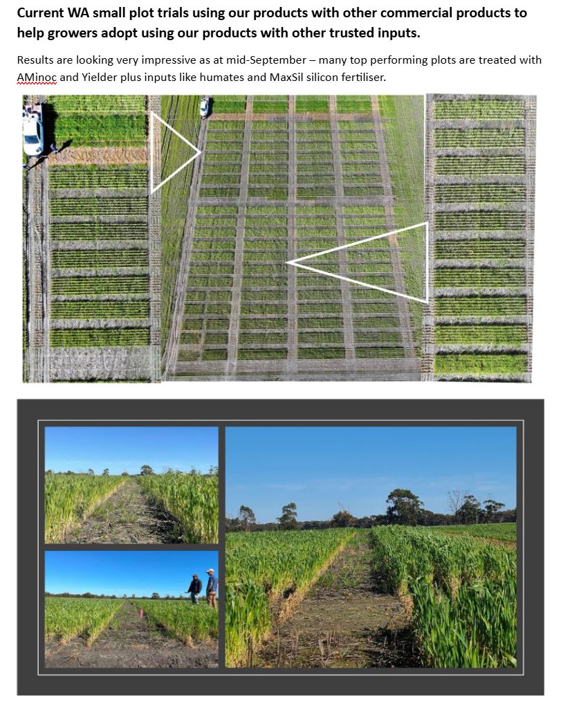 Trials proving our Biologicals are here to enhance and amplify mainstream farm inputs.