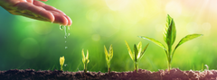 Yielder Home and Garden Biostimulant  - Ready To Use