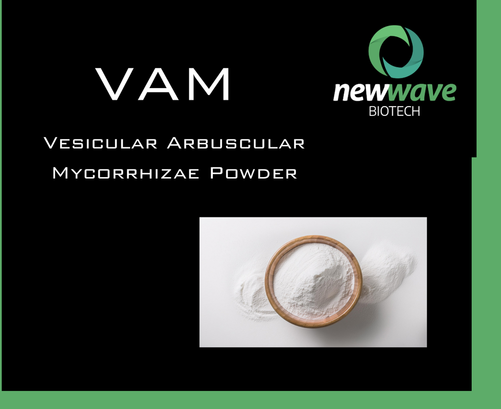 VAM - Vesicular Arbuscular Mycorrhizae Powder