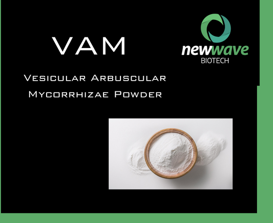 VAM - Vesicular Arbuscular Mycorrhizae Powder