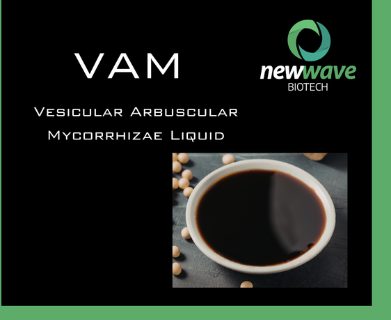 VAM - Vesicular Arbuscular Mycorrhizae Liquid