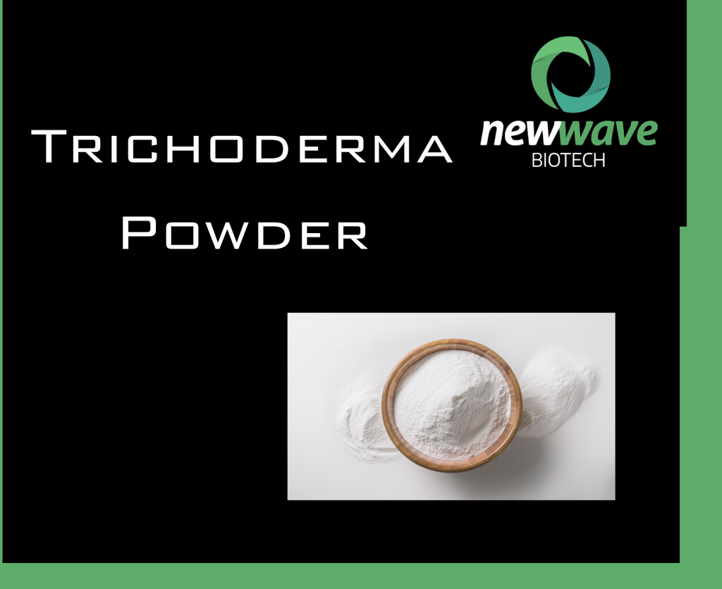Trichoderma Powder