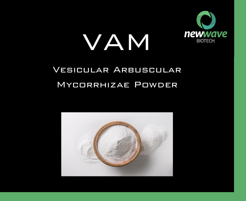 VAM - Vesicular Arbuscular Mycorrhizae Powder