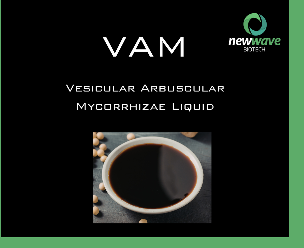 VAM - Vesicular Arbuscular Mycorrhizae Liquid